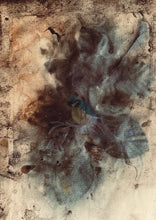 Load image into Gallery viewer, Blue Tit