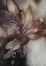 Load image into Gallery viewer, Botanical Notecards