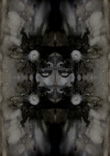 Load image into Gallery viewer, Granaidh