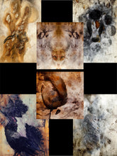 Load image into Gallery viewer, Foggy Bummers Wild Art Greetings Cards Raven, Fox, Badger, Owl, Hare, Squirrel

