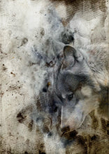 Load image into Gallery viewer, Wolf