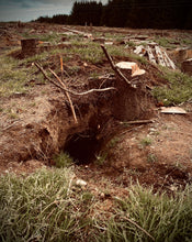 Load image into Gallery viewer, Badger