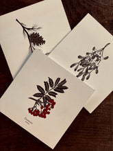 Load image into Gallery viewer, Winter Botanicals Greetings Card Set
