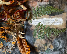 Load image into Gallery viewer, Foggy Bummers Hand Made Spell Book