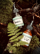 Load image into Gallery viewer, Foggy Bummers Handmade Ink Two Drop Stopper Ink Bottles of Brown and Red