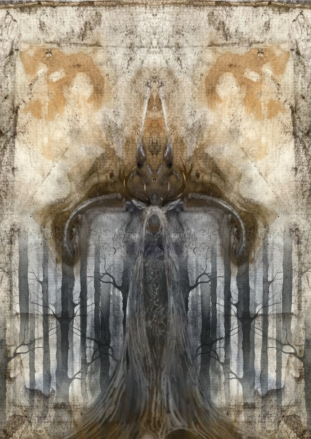 Cailleach