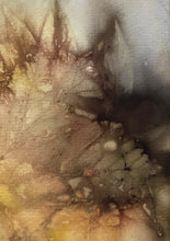 Load image into Gallery viewer, Botanical Notecards
