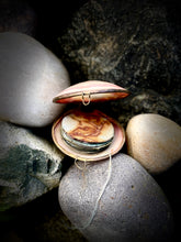 Load image into Gallery viewer, Open shell with a pearl inside on a rocky surface

