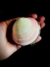 Load image into Gallery viewer, Hand holding a shell with a gold frame against a black background
