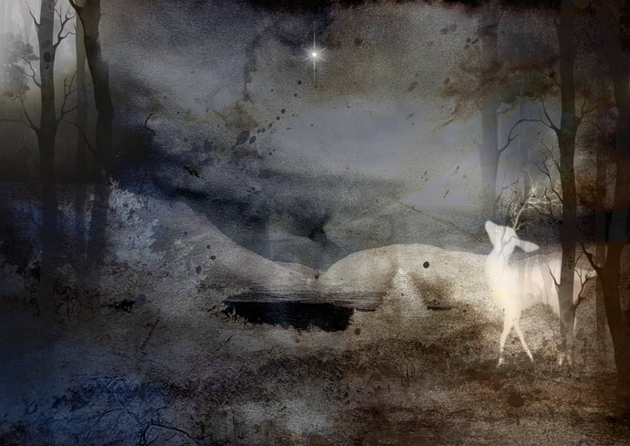 Woodland Winter scene with a deer looking at a star light sky 