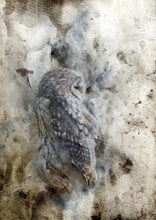 Load image into Gallery viewer, Tawny Owl
