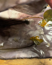 Load and play video in Gallery viewer, Crone-Tigh nam Bodach
